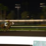 NightAtRaces_0069 (August 24, 2013)